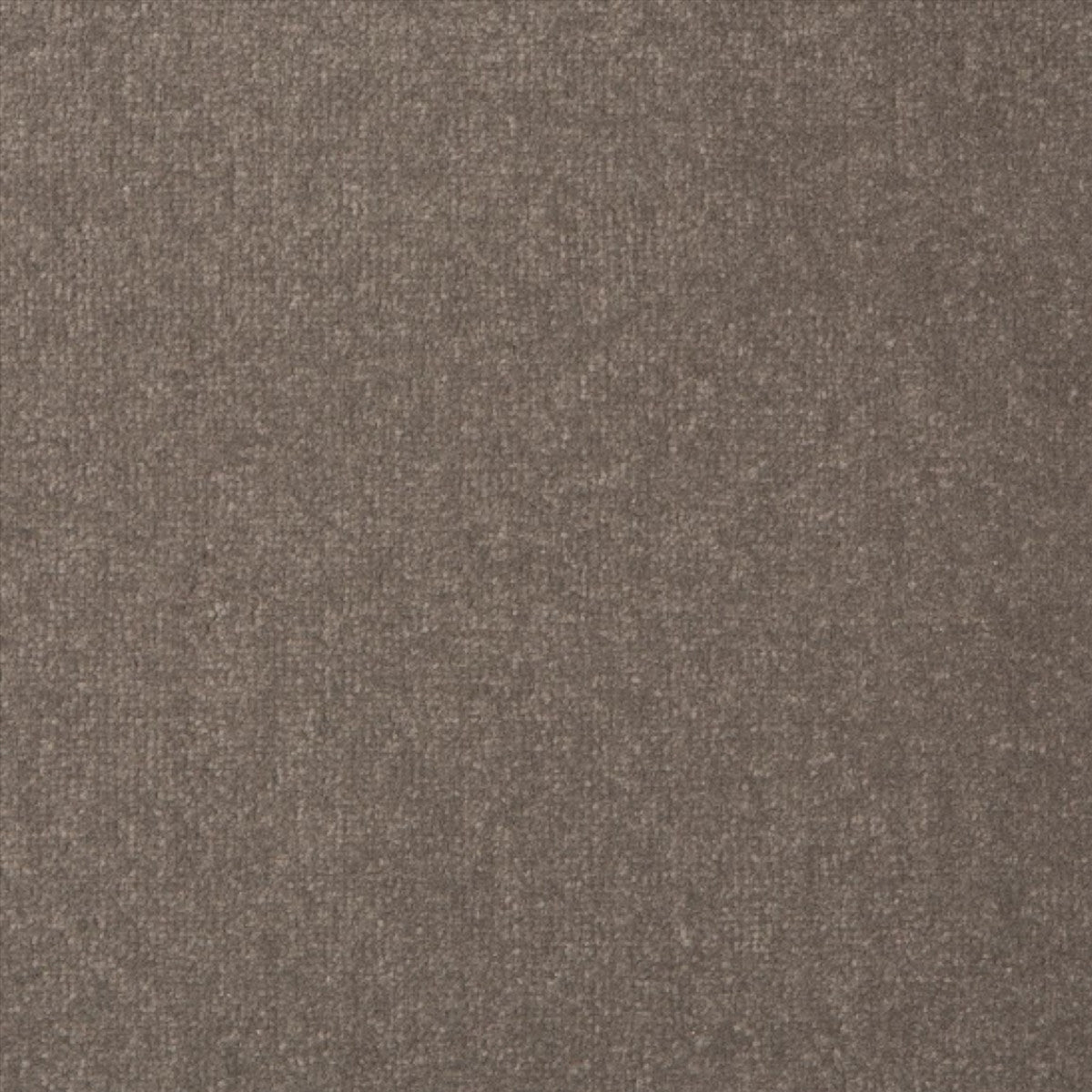 Manor Velvet - Graphite