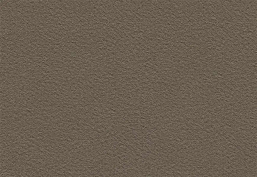 Velvet Carpet Re-cale