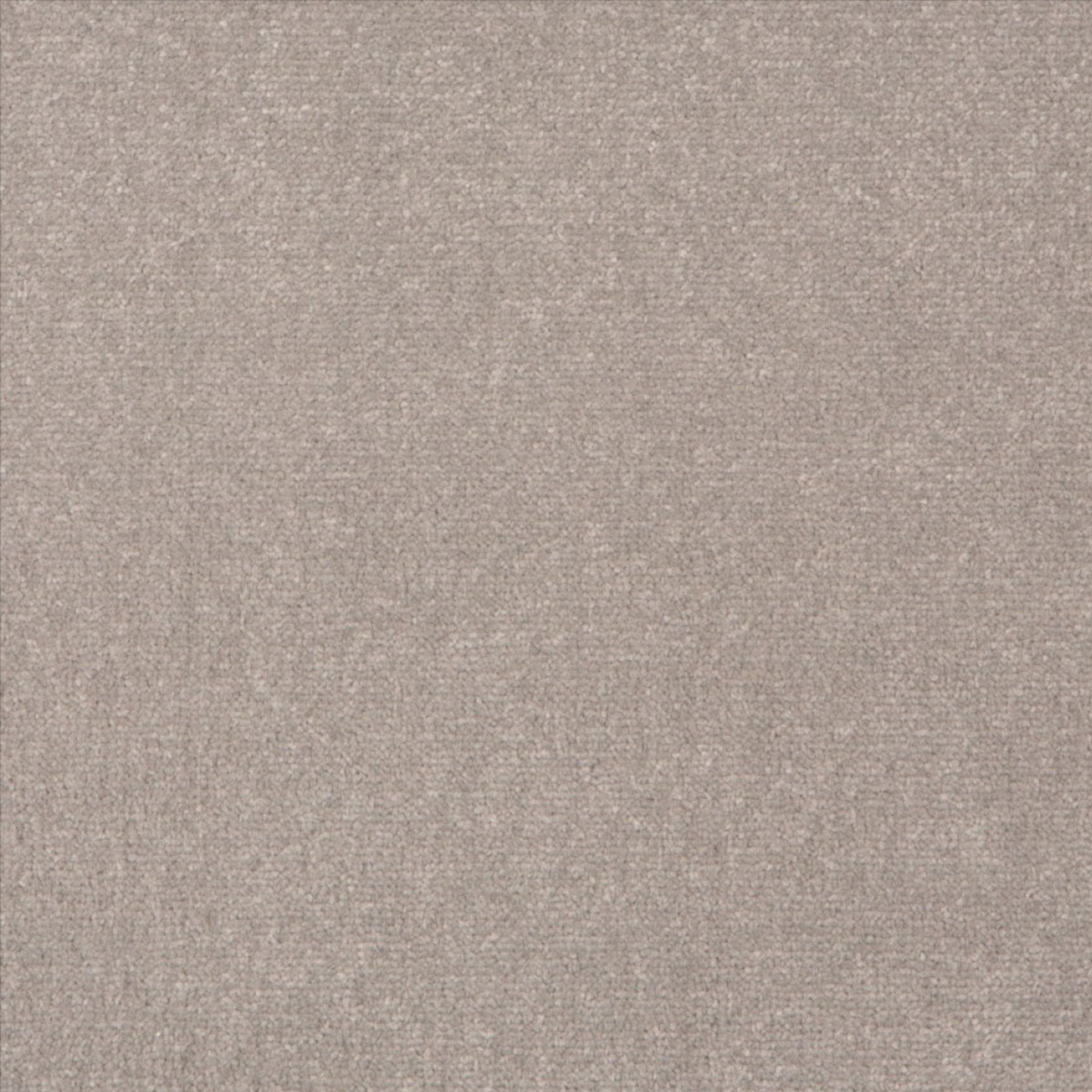 Manor Velvet - Dove