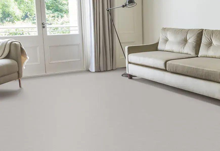 Velvet Carpet Re-ano