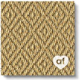 Anywhere Carpet Re-create