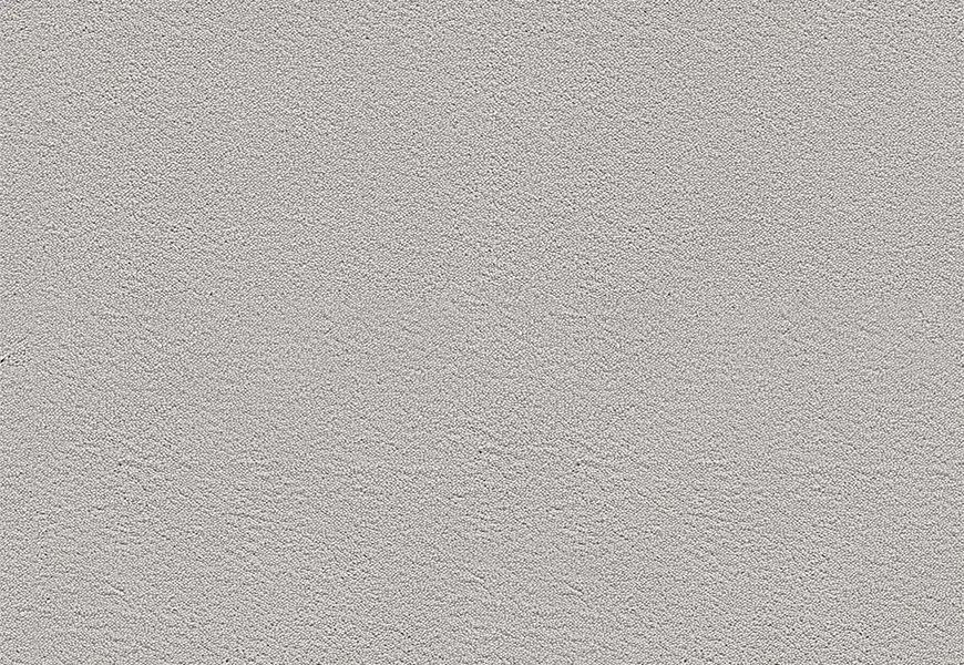 Velvet Carpet Re-ano