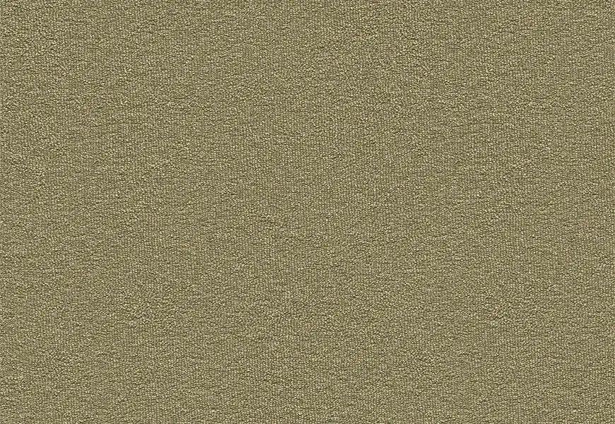 Echo Core Carpet Mossdale