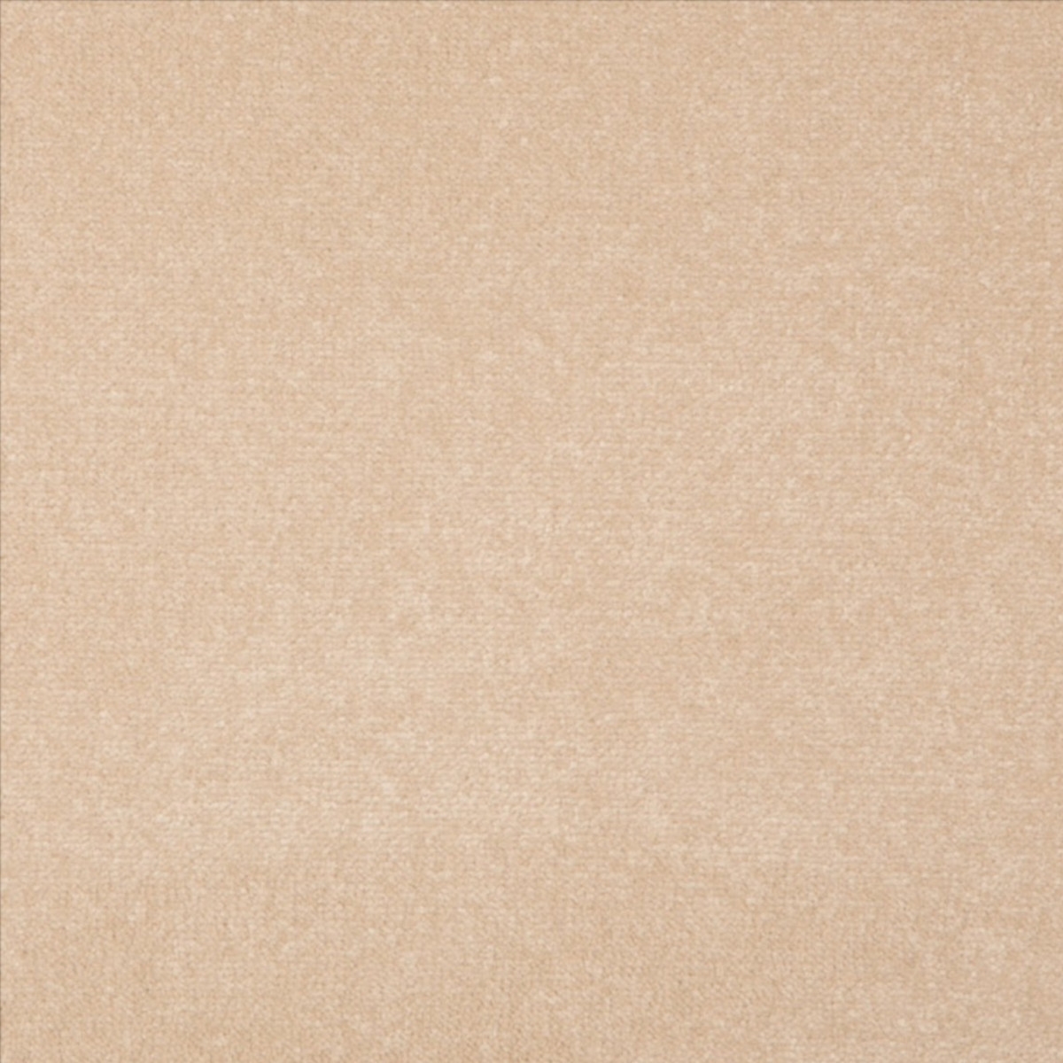 Manor Velvet - Buttermilk