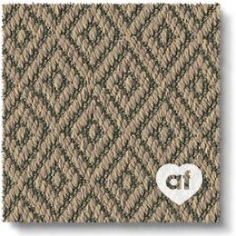 Anywhere Carpet Re-imagine