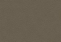 Velvet Carpet Re-cale Velvet Carpet Re-cale