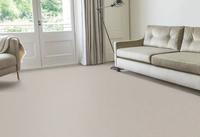 Echo Core Carpet Clearwell Echo Core Carpet Clearwell