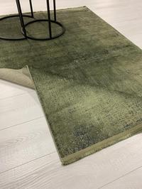 Colore Olive Colore Olive