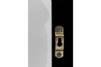 The Statue and Bee Framed Picture