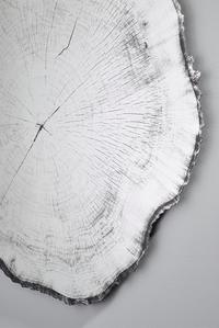 Arbo Dark Set of Mirrors