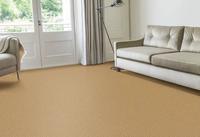 Anywhere Carpet Re-define