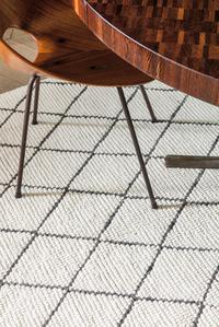 Framework Rug 229-001-100 Framework Rug 229-001-100
