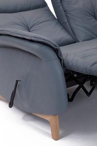 Himolla Swan 2.5 Seat Power Recliner Sofa