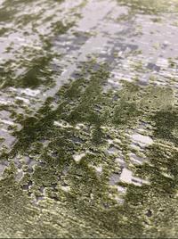 Toros Rug Ombre Green