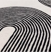 Matrix Arches Black Rug