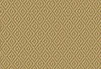 Anywhere Carpet Re-create