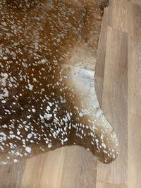 Devore Rug #44 Devore Rug #44