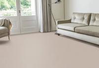 Echo Core Carpet Alum Echo Core Carpet Alum