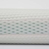 Caseys Sumptuous Memory Pillow