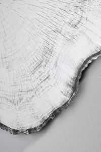 Arbo Dark Set of Mirrors