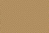 Anywhere Carpet Re-define