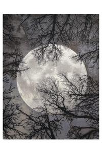 Twilight TWI17 Moon Rug Twilight TWI17 Moon Rug