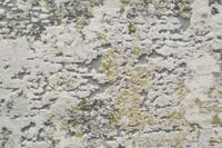 Canyon Rug 52023-6444 Canyon Rug 52023-6444