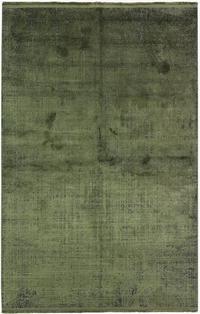 Colore Olive Colore Olive