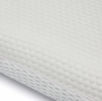 Caseys Sumptuous Memory Pillow