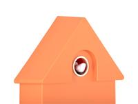 Modern Cuckoo Wall Clock - Orange