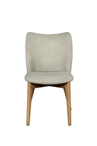 Brannon Dining Chair Misty