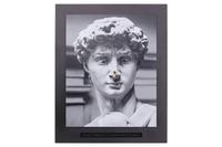 The Statue and Bee Framed Picture