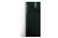 Mister Lion Glass Picture