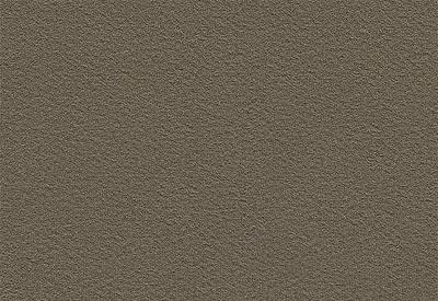 Velvet Carpet Re-cale