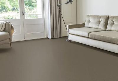 Velvet Carpet Re-cale