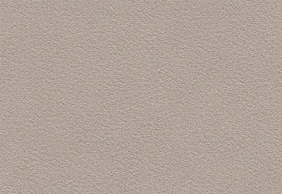 Velvet Carpet Re-sia