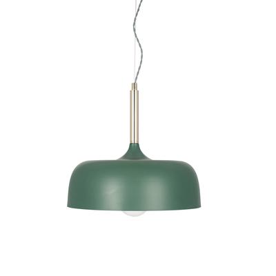 Anke Matte Bottle Green Dome Metal Pendant