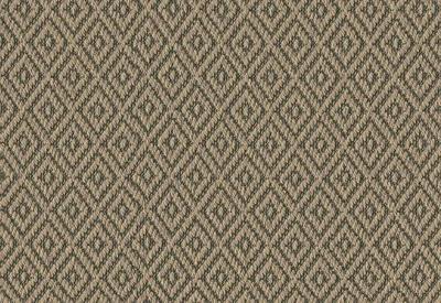 Anywhere Carpet Re-imagine