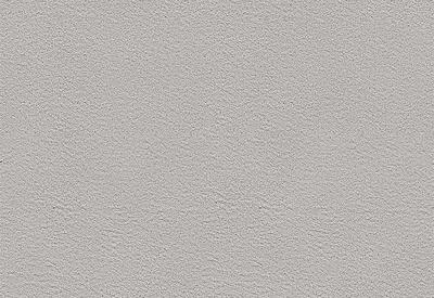 Velvet Carpet Re-ano