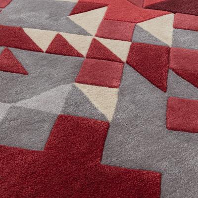 Enigma Rug Red Multi