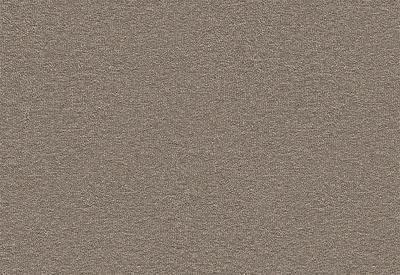 Echo Core Carpet Swinsto