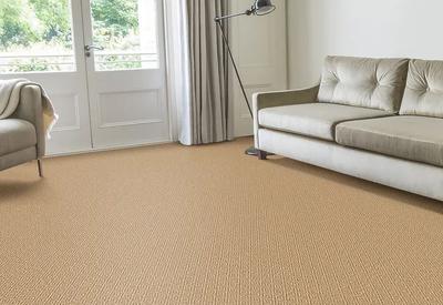 Anywhere Carpet Re-discover