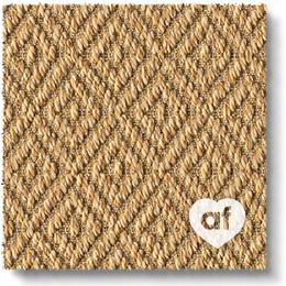 Anywhere Carpet Re-define