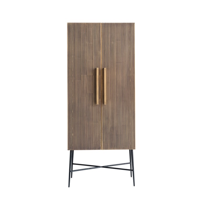 Sayer 2 Door Cabinet