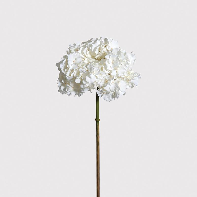 White Elegant Hydrangea