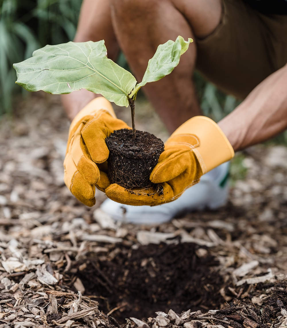 Sustainability at Caseys