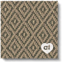 Anywhere Carpet Re-imagine