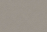 Echo Core Carpet Eastwater