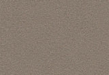 Echo Core Carpet Swinsto