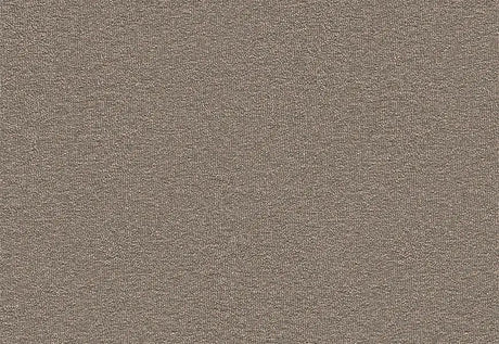 Echo Core Carpet Swinsto